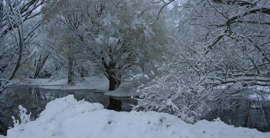 A snow covered forest and river