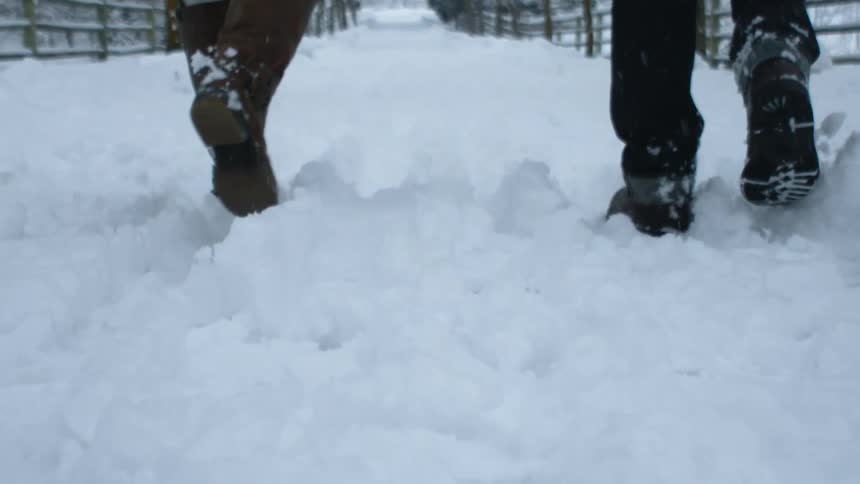People trudging through snow while walking between two fences