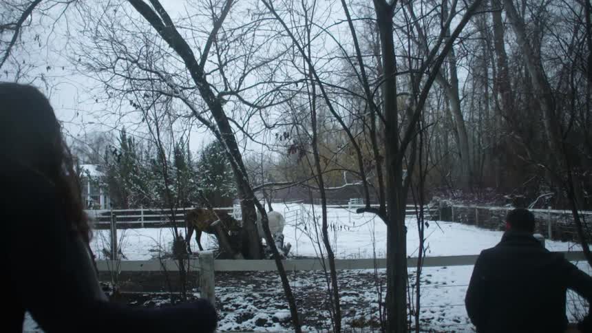 A man and woman approach a horse paddock while it snows