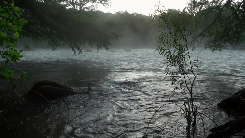 Texas Nature