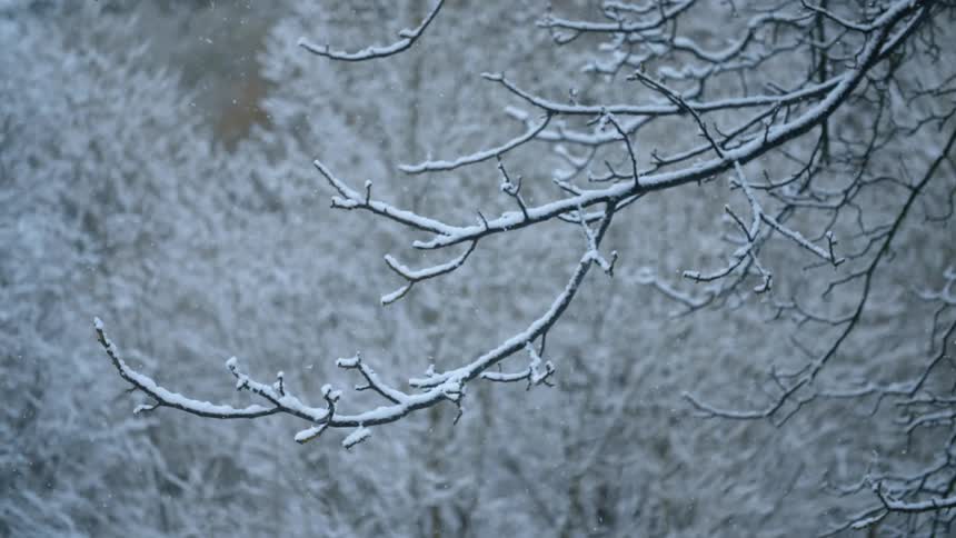 Wintertime