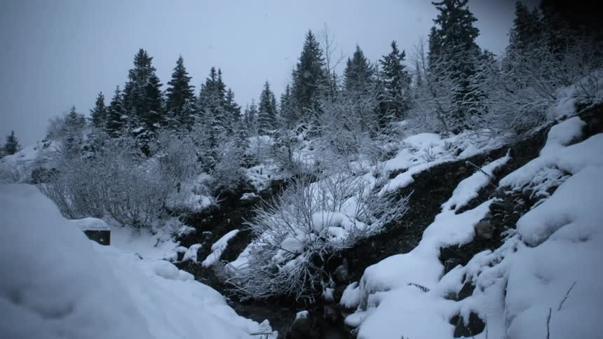 Snow falls on a mountainside landscape