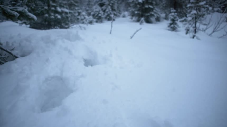 Footprints are being followed in heavy snow