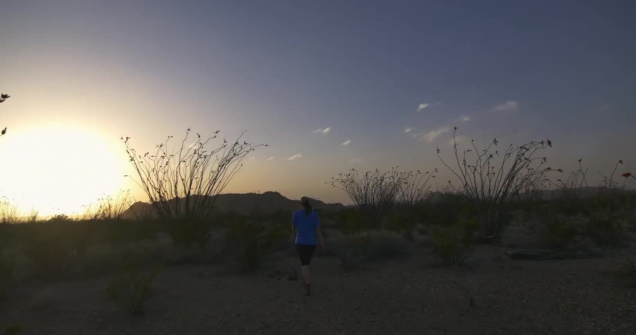 A woman walks alone in a desert landscape with the sun setting
