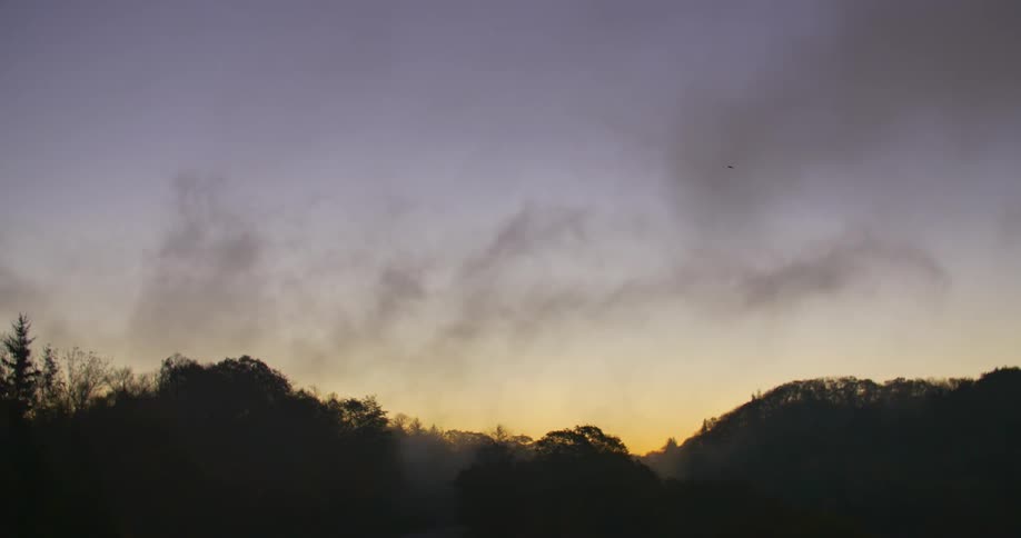 Fog rolls past slowly