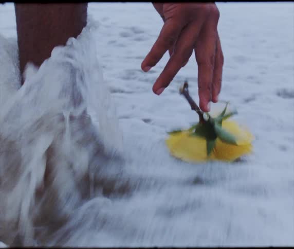 A person dropping a flower into the ocean