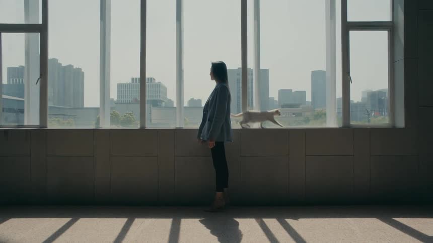 A woman stands in profile looking out at the city through large windows while a cat walks along the sill