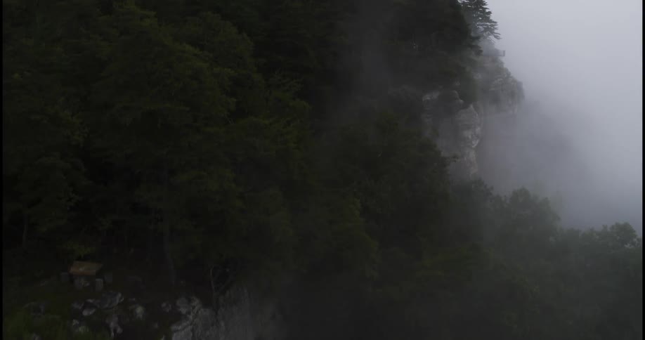 Rock cliffs and lush forest trees in the wilderness surrounded by dense fog