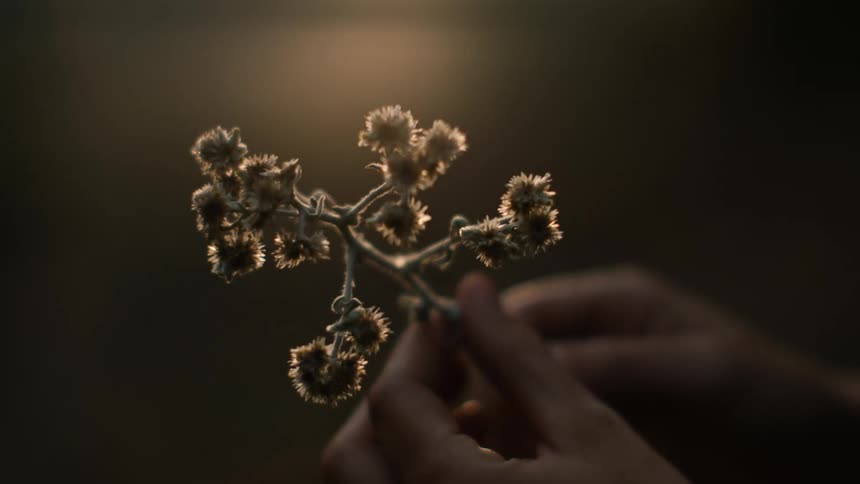 A person rotating a stick with flowers on it