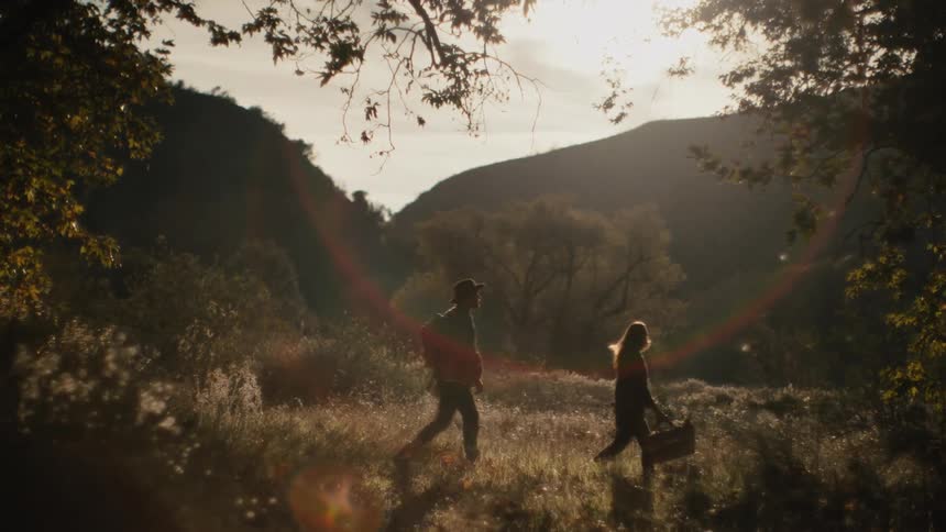 People walking through forest
