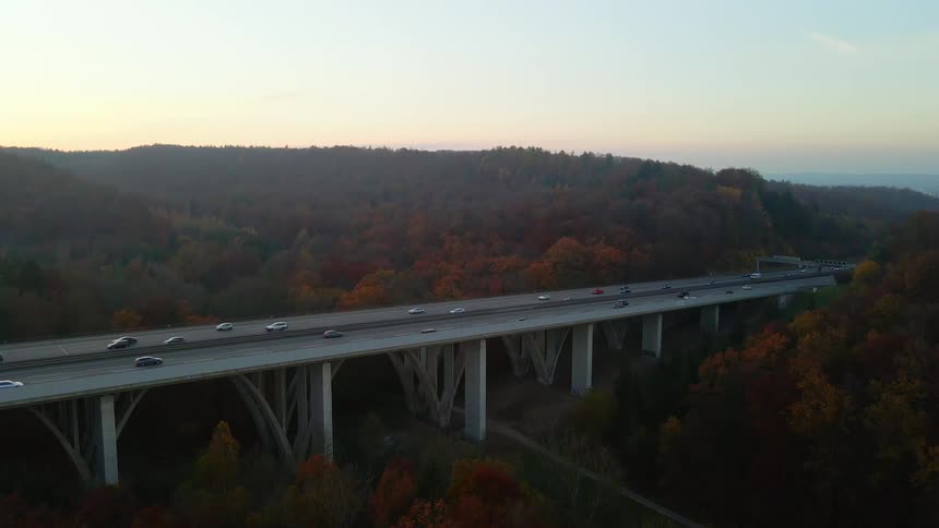 Vehicles drive along an elevated freeway surrounded by tall trees