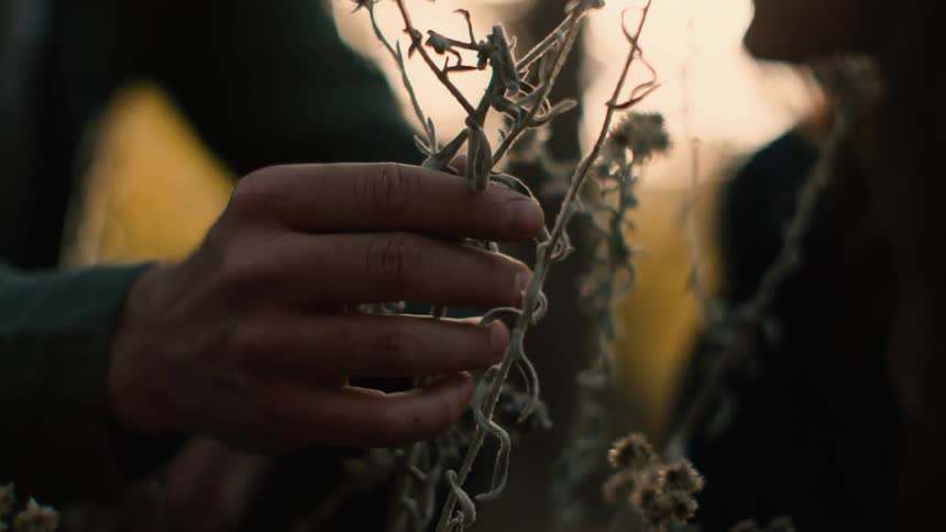 A man and woman in a field examine a plant