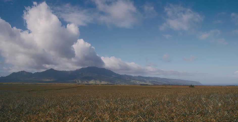 Clouds and sunlight travel over a mountain and grass field