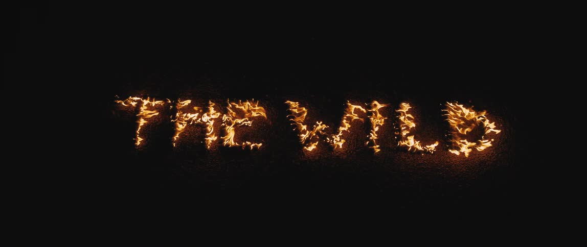A view of the word the wild on fire