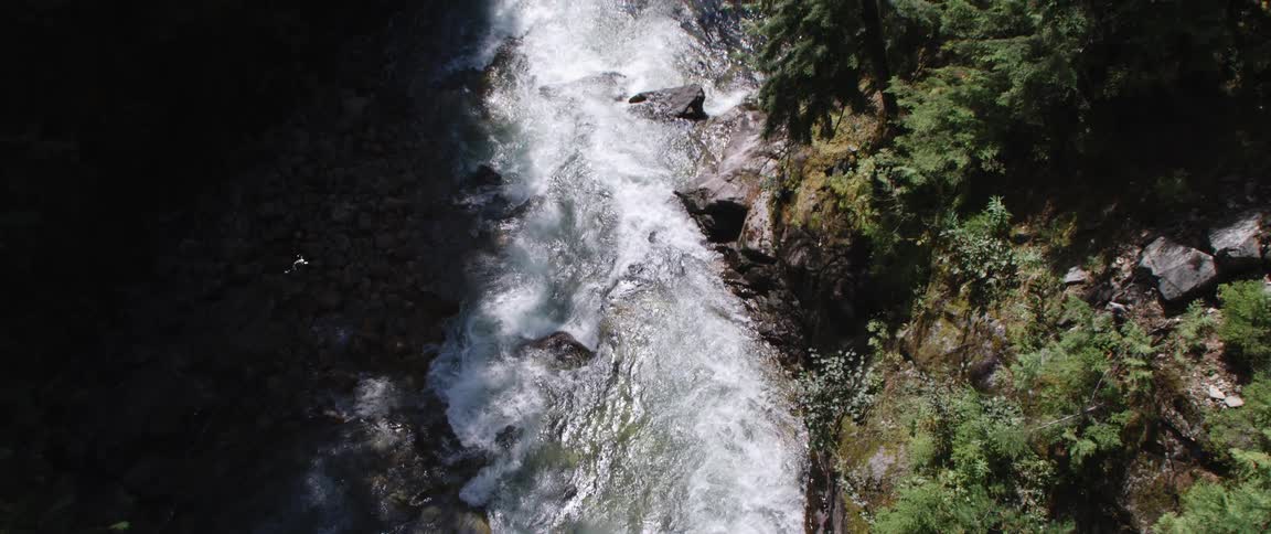 A river flows over rocks near a forest