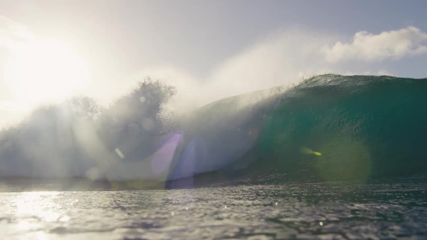 A large wave rises and crashes in the ocean