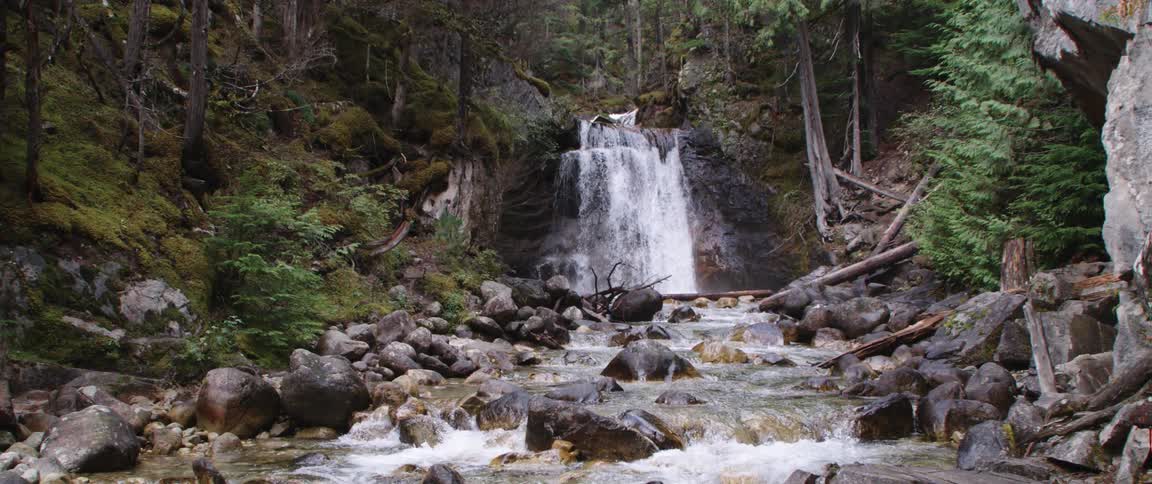 Waterfall cascades down cliffside in the woods