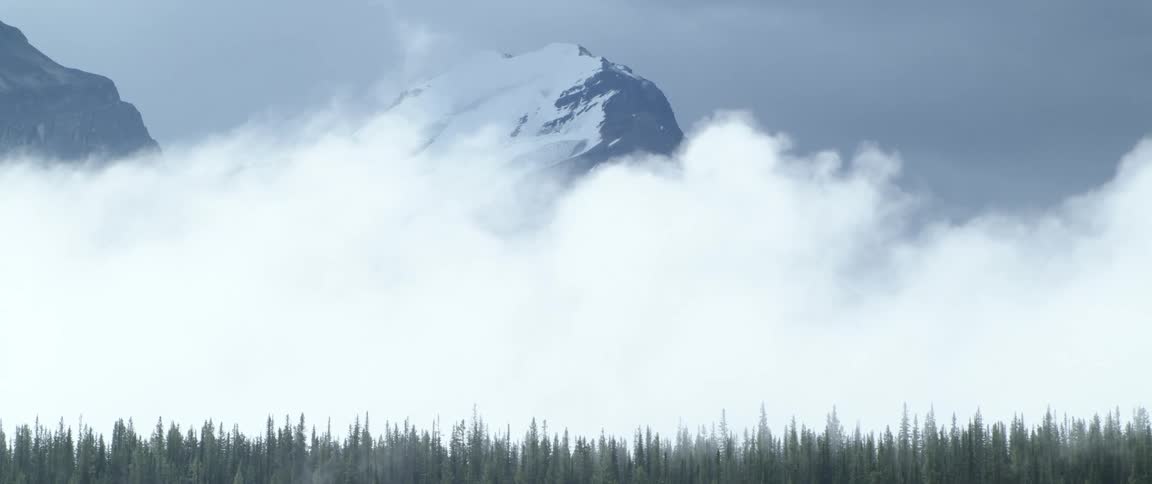 Thick low lying clouds hover between snow capped mountain summits and conifer forest