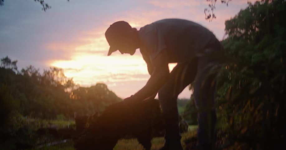 A man laying out grass in a yard