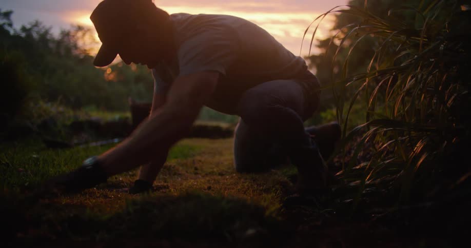 A man lays down sod in a rural lawn