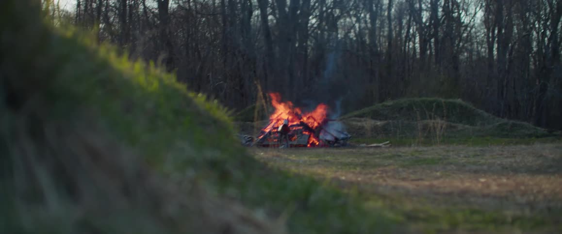 A bonfire is burning near the woods