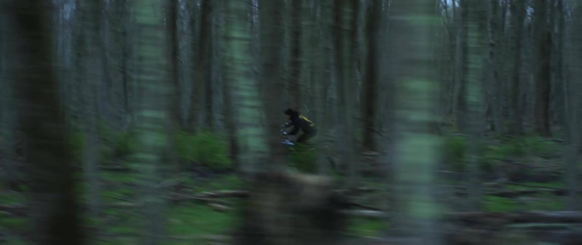 A person rides a motorcycle through a foggy forest during the day