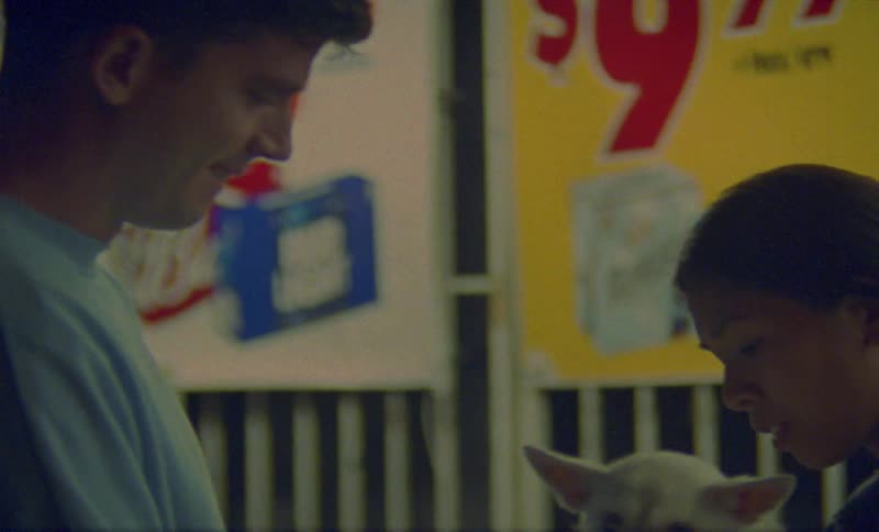 A man and woman look over a white dog
