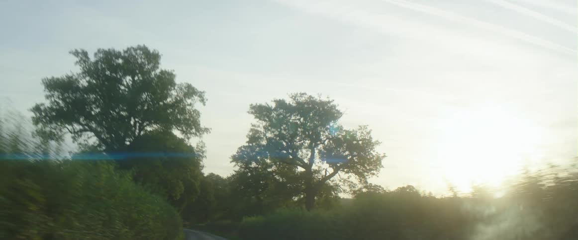 Sunlight shining over a rural road on a sunny summer morning