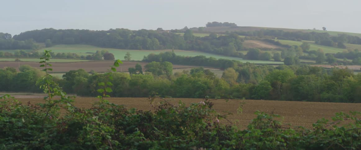 View of a wide open horizon in spring