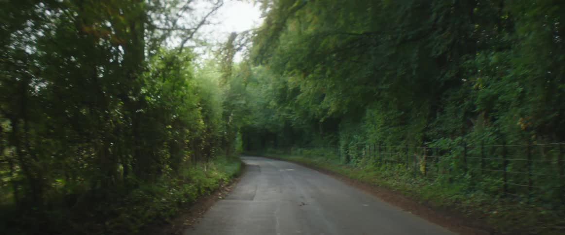 The sun shines brightly through the trees on a forest road