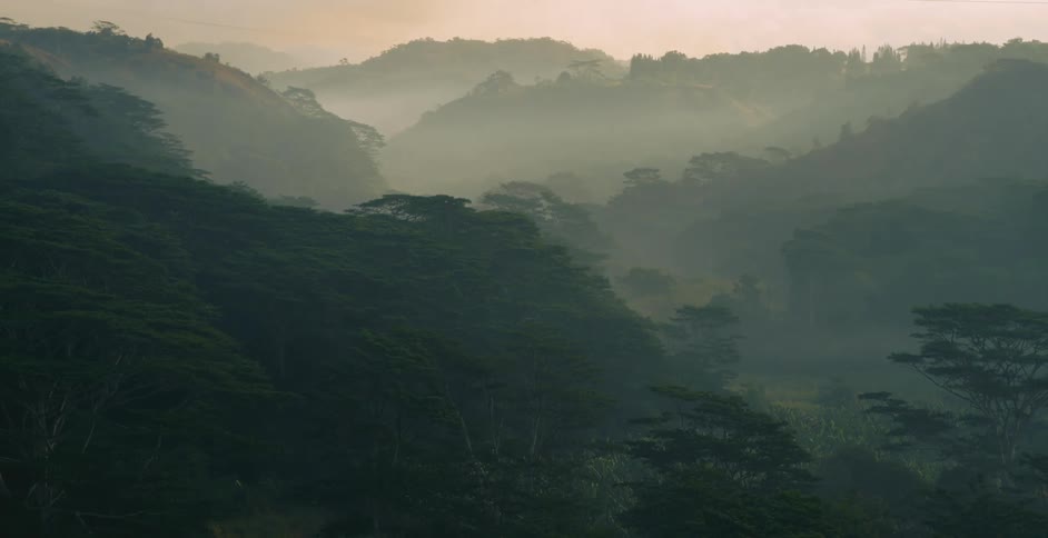 A winding mountain valley covered in thick forest and fog