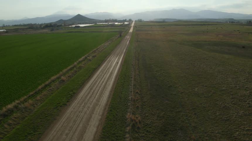 A dirt road is in the middle of a grassland area