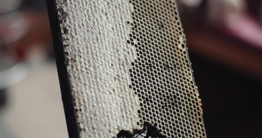 A wax structure honeycomb with cells