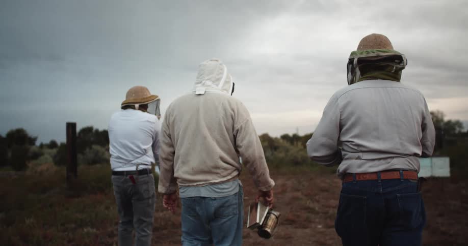 Three workers are walking outdoors in a rural area