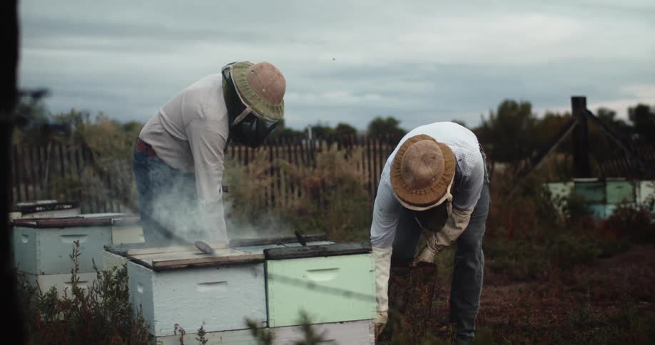 Two coworkers are working in a rural area in spring