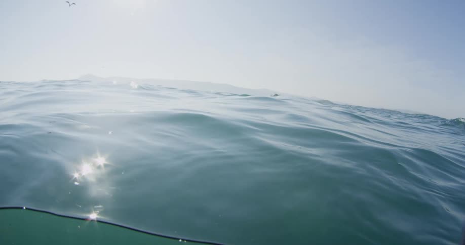 A bird flies in the sky above the ocean surface