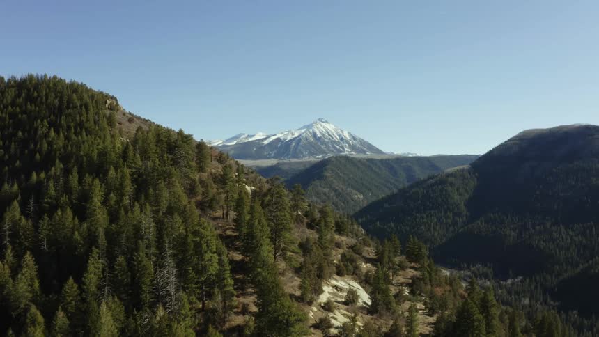 View from over the top of a forested mountain of other mountains nearby and a snow covered mountain in the distance