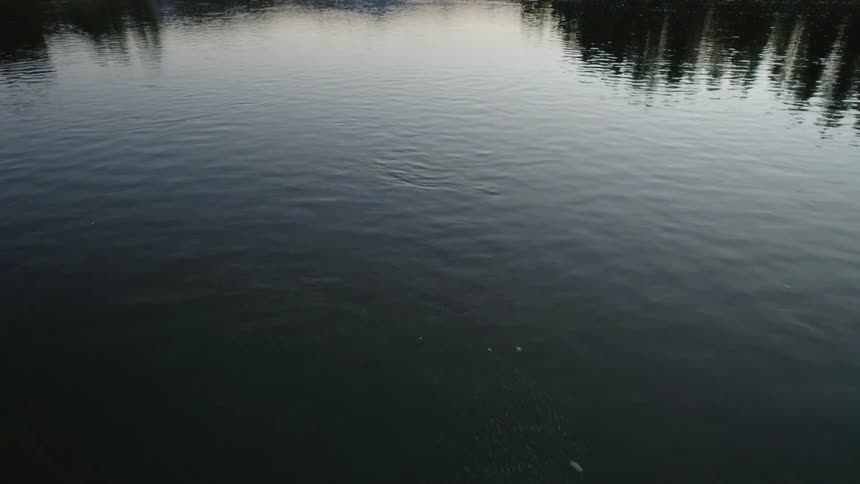 A river through a forested countryside in the evening