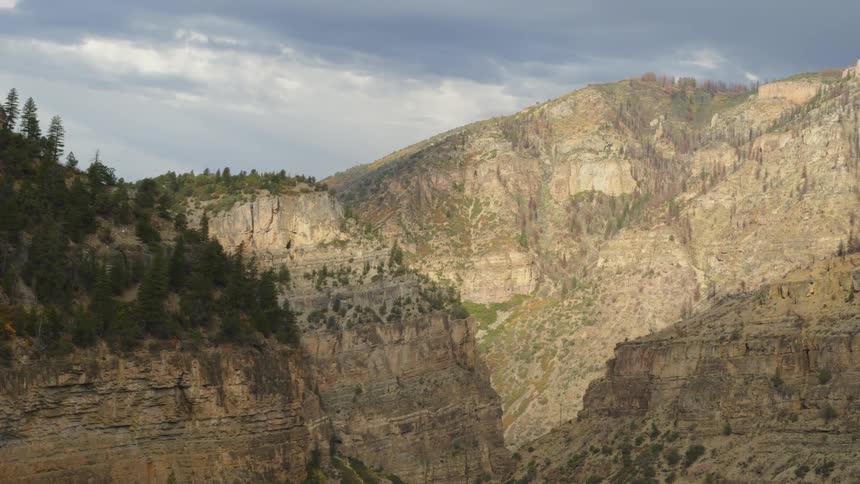 Forest covers plateaus and summits of mountains surrounding canyon