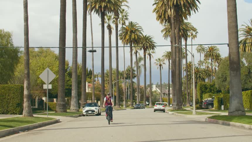 Man driving a bicycle between the palm trees on the street of a neighborhood