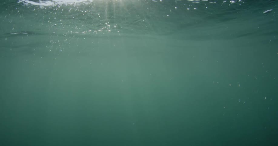 Sunlight filters through clear ocean water