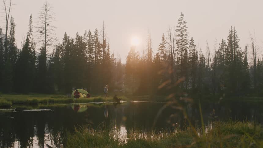 People camping with dogs