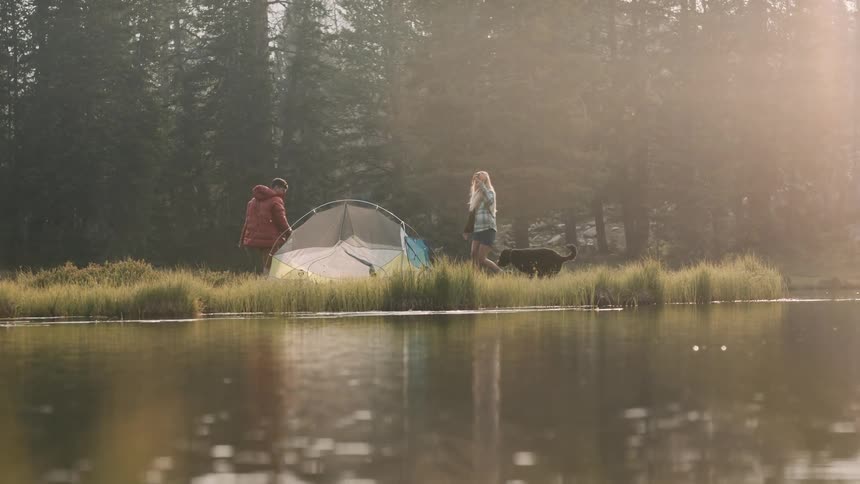 Man and woman are camping in the woods with their dog