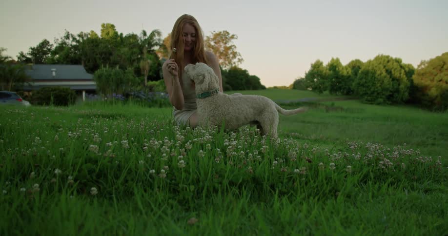 Woman playing with dog on a field of flowers in the country
