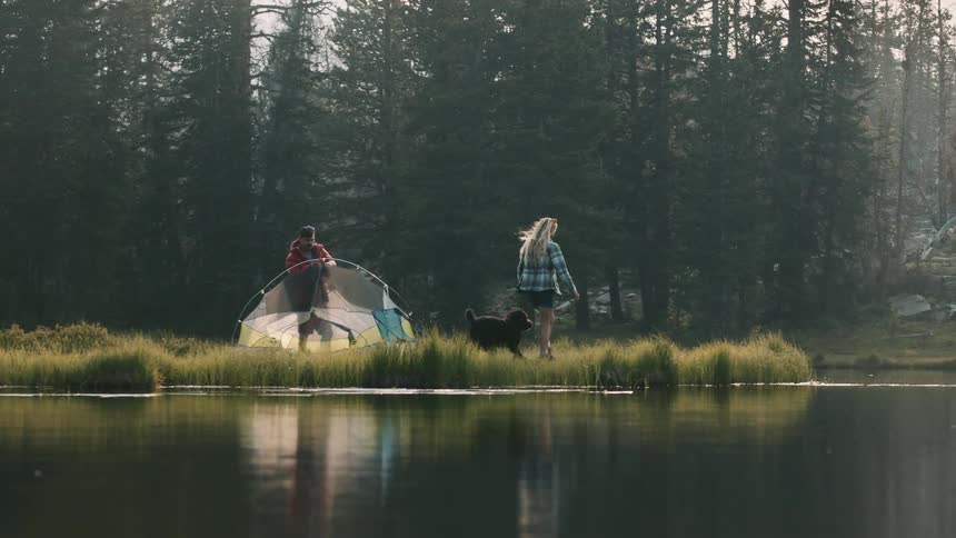 Woman playing with her dog near a tent close to a lake close to the pine tree forest