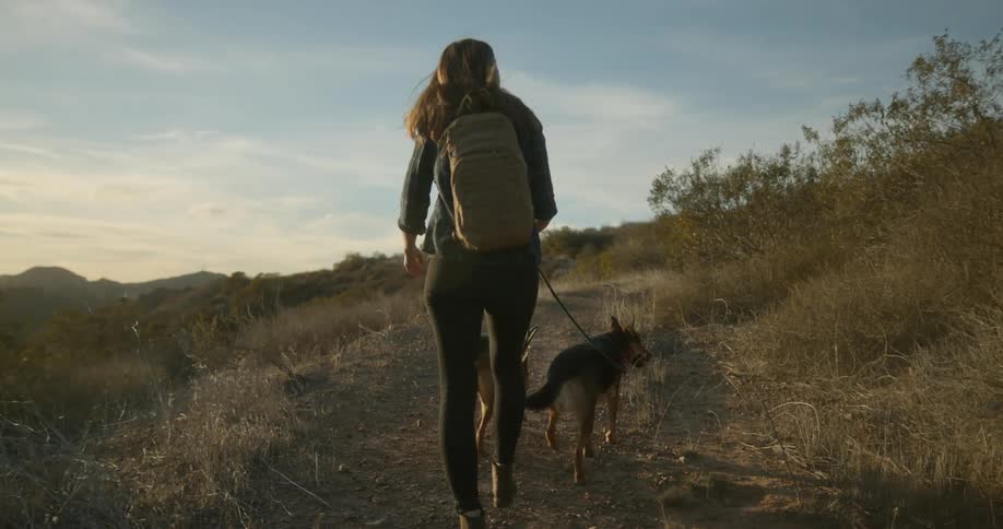 Woman with straight hair shirt black pants and brown backpack walks two dogs in the feld
