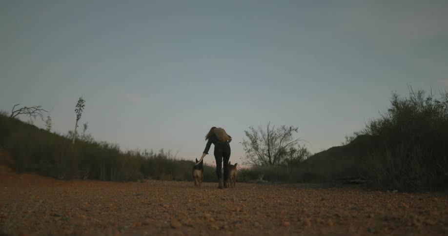 Woman with straight hair dark shirt black pants and brown backpack walks two dogs on country road at dusk