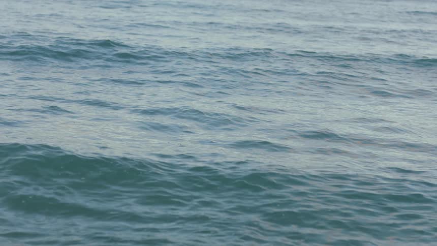 Sea waves move across the surface of the sea