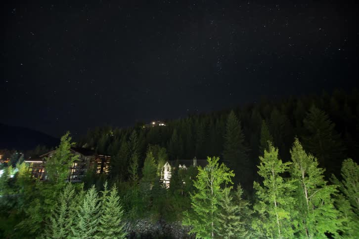 A house is surrounded by a forest