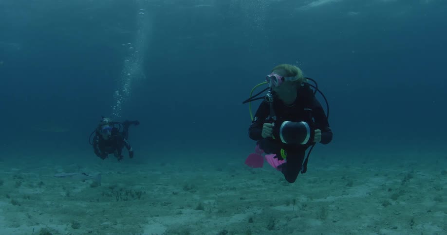 Divers swim in the ocean